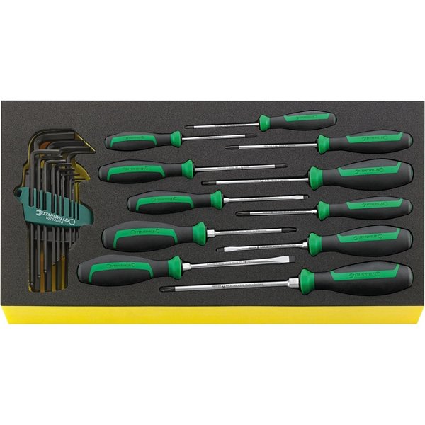 Stahlwille Tools DRALL+ set of screwdrivers i.TCS inlay No.TCS WT 4622-4650-1 -tray24-pcs. 96830126